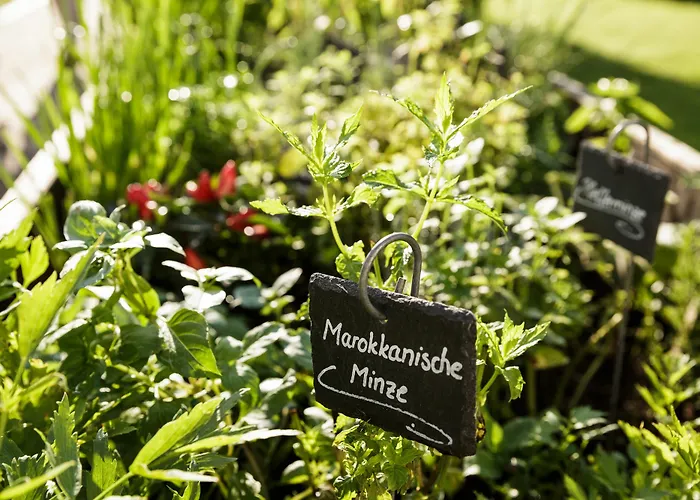 Kuroase Im Kloster Bad Wörishofen