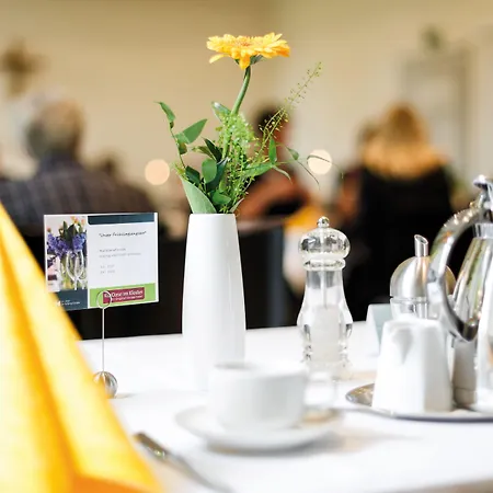 克罗斯特水疗绿洲酒店 酒店