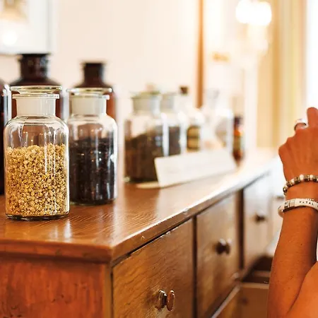 酒店 克罗斯特水疗绿洲酒店