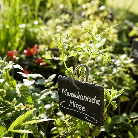 Kuroase Im Kloster Bad Wörishofen